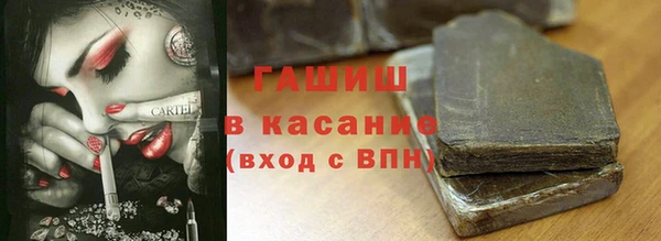 apvp Алзамай