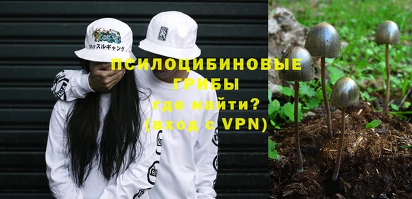 apvp Алзамай