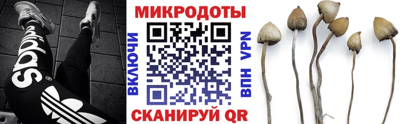 купить наркоту  Сочи  Галлюциногенные грибы Magic Shrooms 