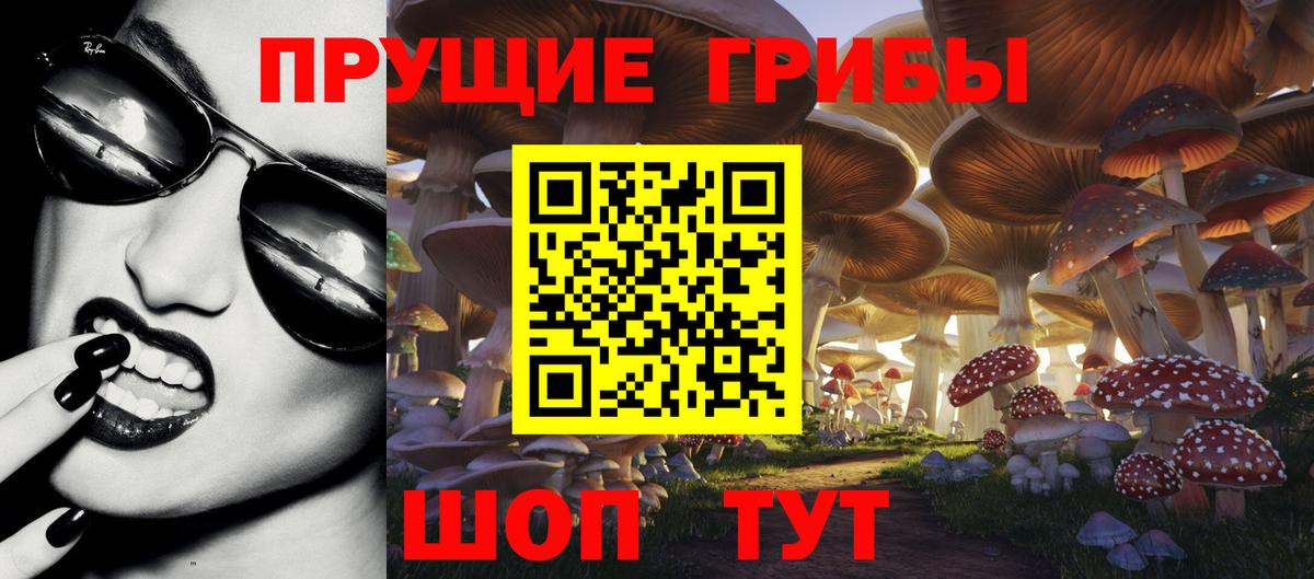 Галлюциногенные грибы MAGIC MUSHROOMS  Вход с VPN  Сочи 